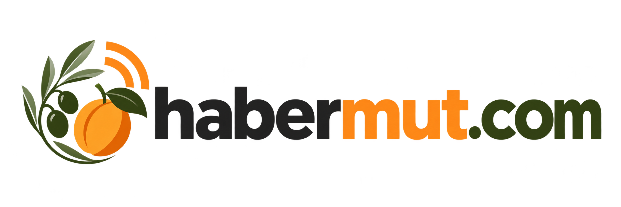 Mut Haberleri – Son Dakika Mut ve Mersin Haberleri | Haber Mut