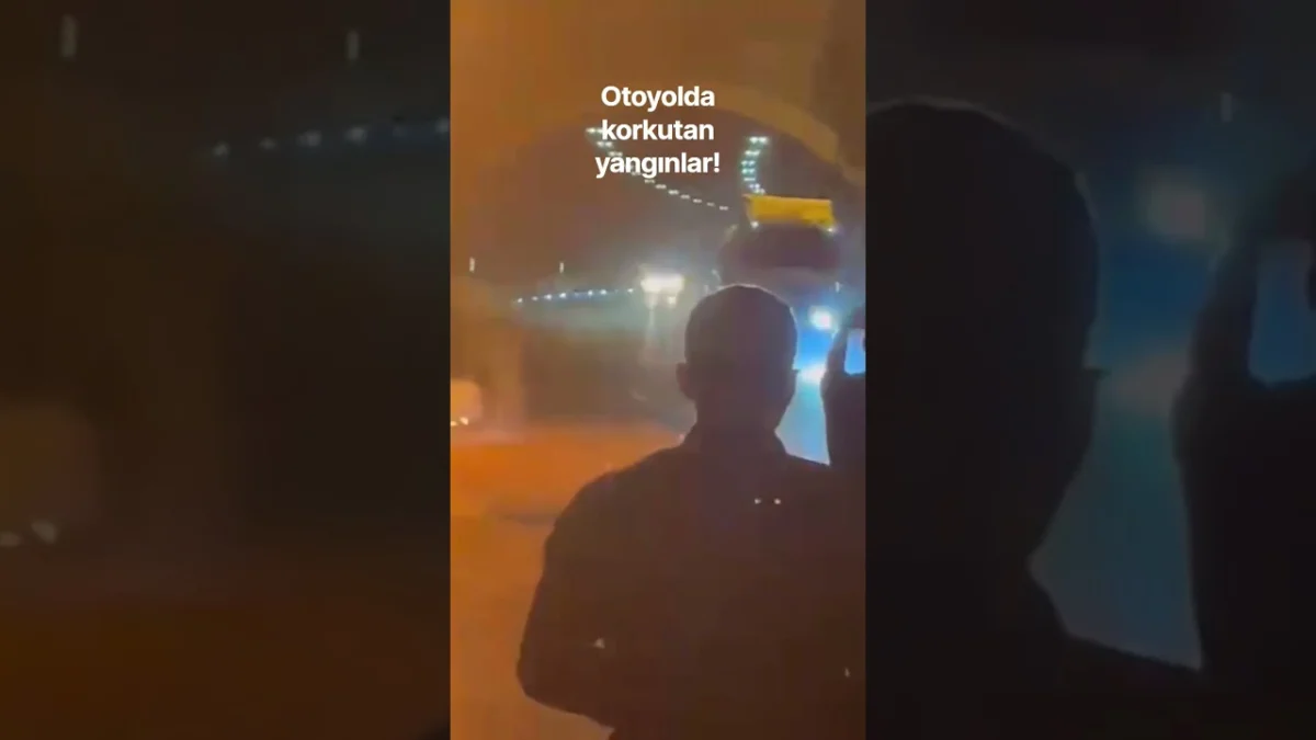 Otoyolda peş peşe yangınlar korkutuyor...